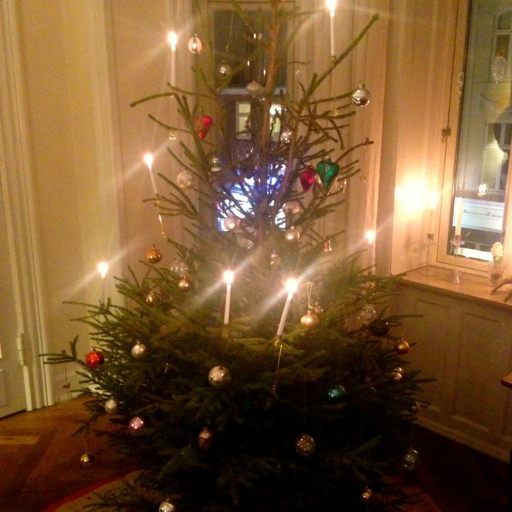 Vores sidste juletræ for i år - det nød vi i dag